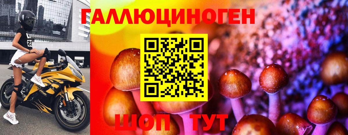 Псилоцибиновые грибы мицелий Дятьково