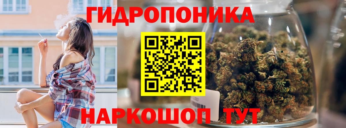Шишки марихуана планчик Дятьково